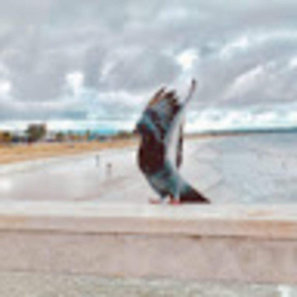 Meet your Posher, Silbia